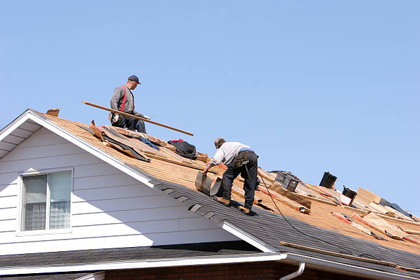 Best Roof Maintenance and Cleaning  in Hodgenville, KY